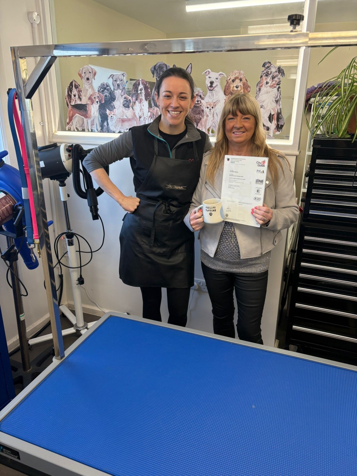 City and Guilds Level 2 Certificate for Dog Groomer Assistants with additional Training towards Level 3 Diploma
