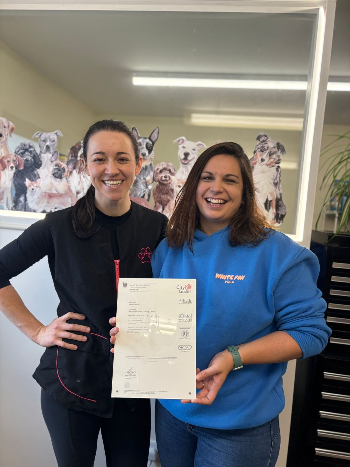City and Guilds Level 2 Certificate for Dog Groomer's Assistant 